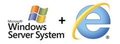 Windows Server and Internet Explorer 9 Logo